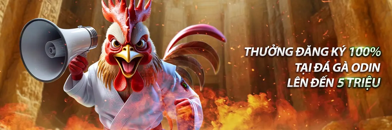 Mẹo cá cược thể thao hiệu quả