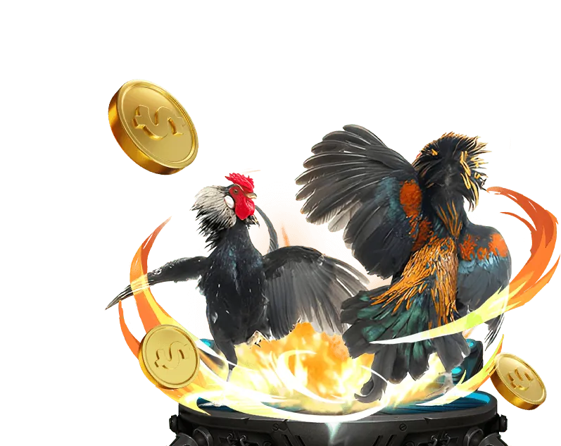 Giao diện cá cược trực tuyến đá gà, dễ sử dụng