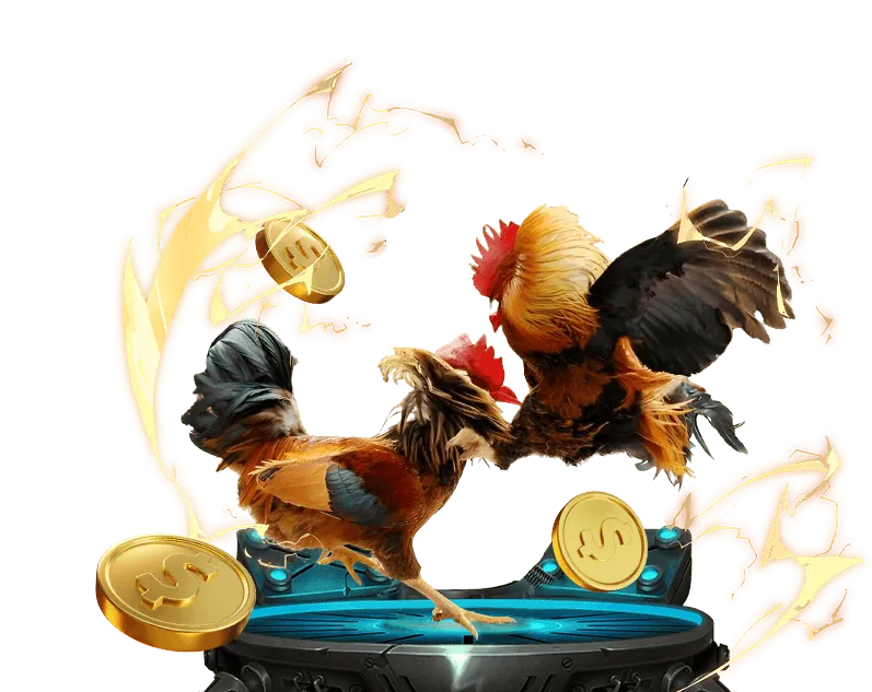 Lịch thi đấu đá gà Thomo được cập nhật liên tục